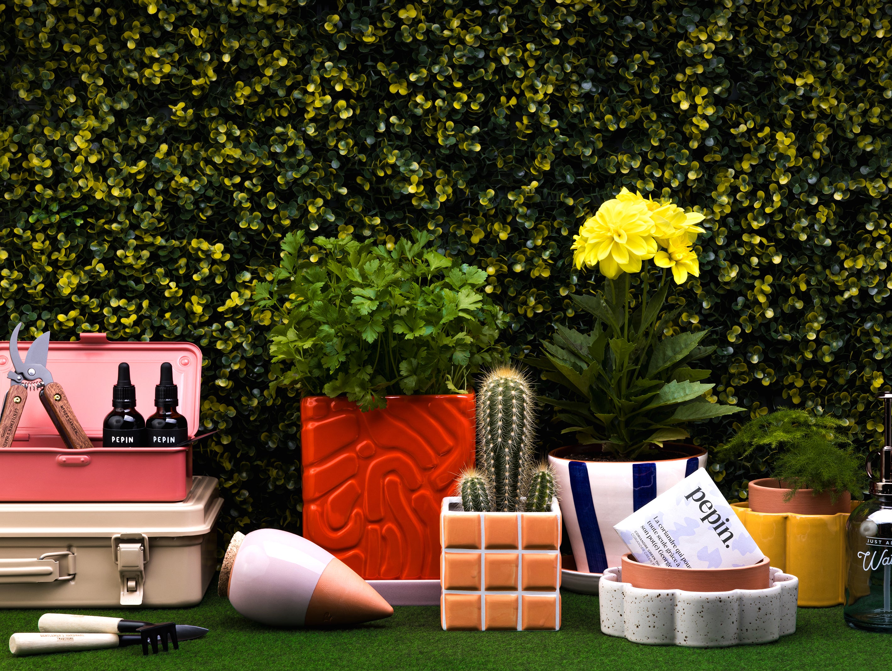 Quelles plantes cultiver sur son balcon cet été ?