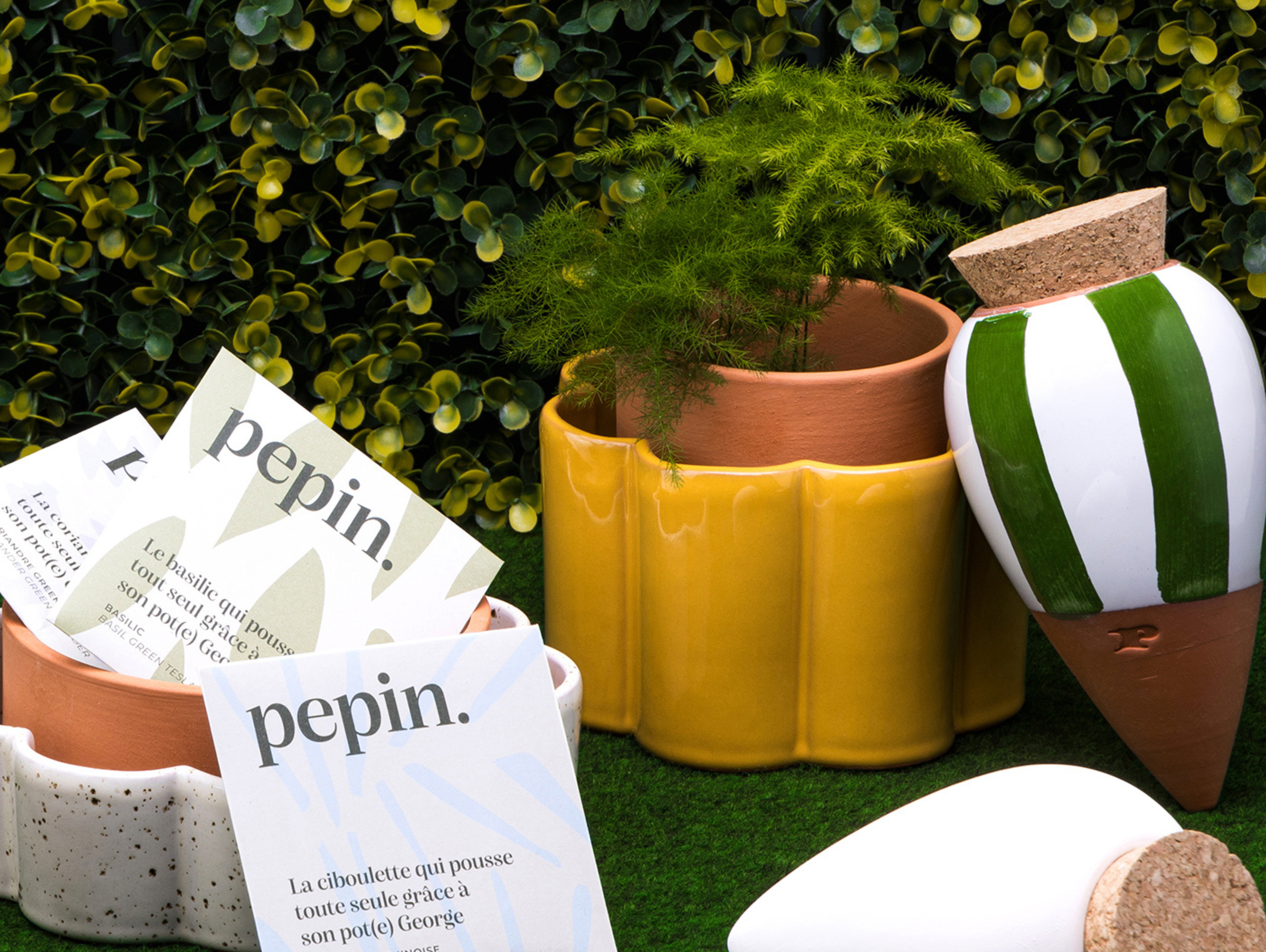 Humidité, luminosité... Quelle plante choisir pour quelle pièce ?