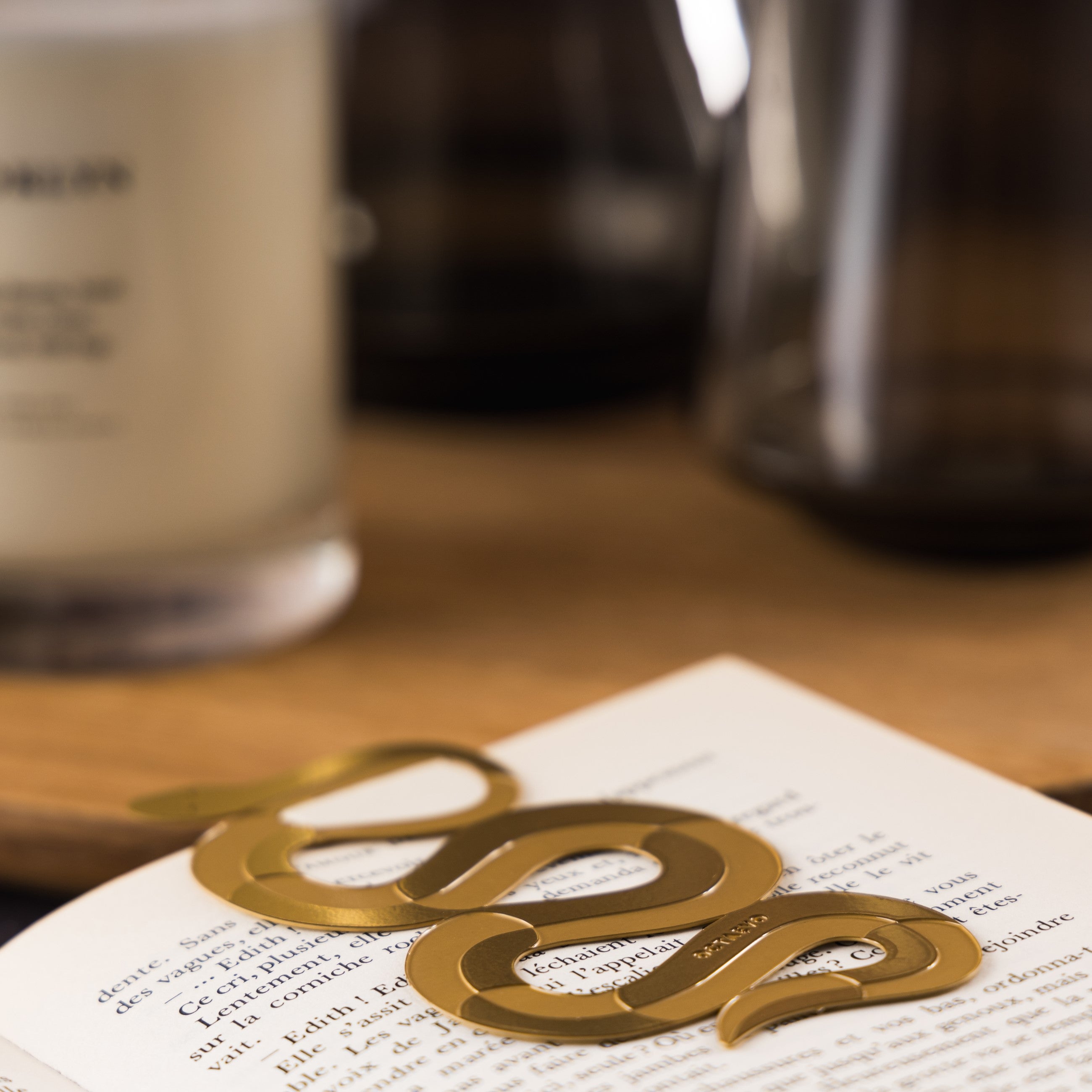 Herring & Bones - Concept Store Joyeux - Octaevo - Marque-pages - Marque-page en laiton "Serpenti"